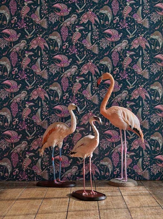 Animalia Audubon Pink wallpaper